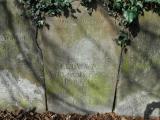 image of grave number 223657